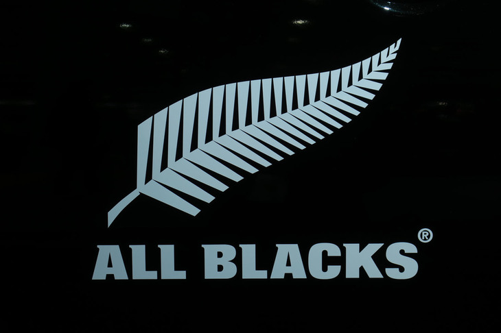 三菱デリカD：5 ALL BLACKSサポートカー