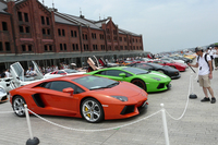 こちらの目玉は猛牛軍団