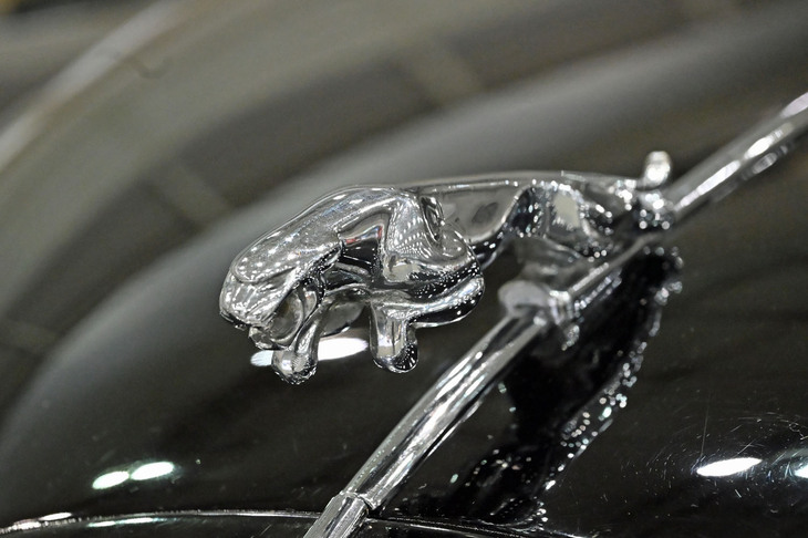 ジャガーMK1（1959年）／WARASHINA Cars