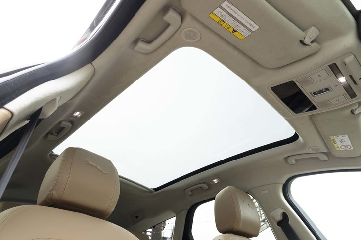 広々としたパノラミックルーフは固定式。26万8000円のオプションとして用意される。
