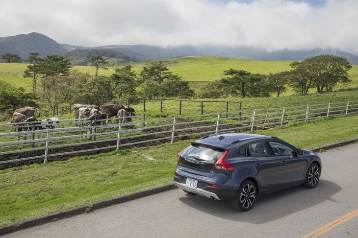 霧降高原の名産品は牛乳。ロードサイドのほとんどは放牧地で、乳牛が草を食（は）んでいるシーンが至るところで見られた。