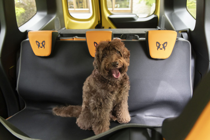 エプロンの上でくつろぐクウ君。座面だけでなく、前後のシート間すべてを覆うので、くつろぎスペースが拡大するという利点もある。