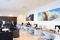 店舗内には、白を貴重とした開放的で明るい空間が広がっている。