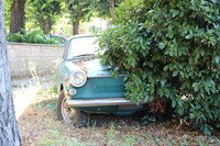 まるで“かくれんぼ”を仕掛けるかのように放置されていたそのクルマは……？