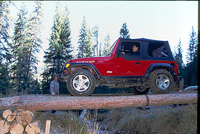 丸太の橋を“ルビコン”で渡る森口将之。
    
    