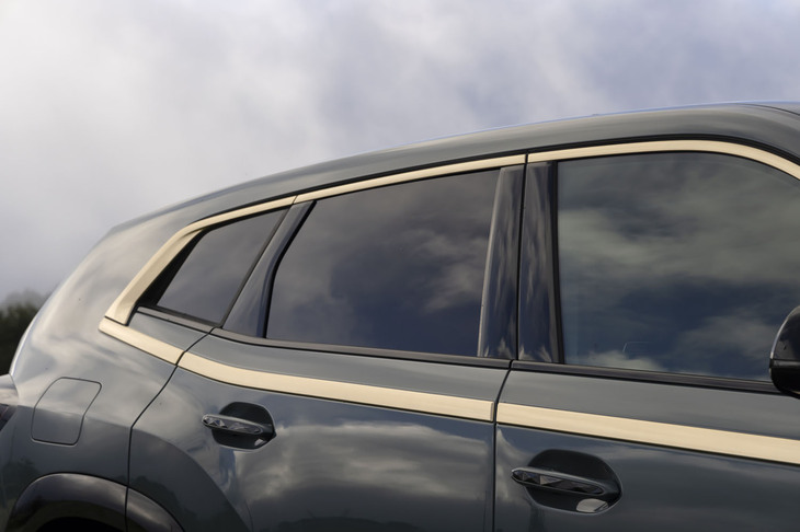 ウィンドウモールは鈍いゴールドでコーディネート。ウィンドウモールと呼びつつ下の部分はドアパネルにはみ出してしまっている。