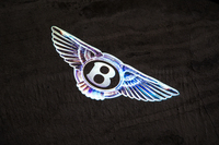 光を受けたダイヤモンドのような揺らめきをアニメーションで表現している。これは「ファーストエディションスペシフィケーション」に含まれているらしい。