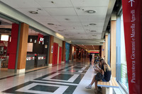 あっ、あのサインは……。