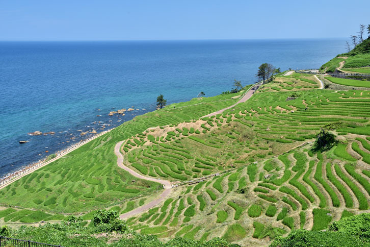 輪島市の棚田・白米千枚田（しらよねせんまいだ）まで足を伸ばした。