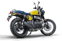 ベア650（ワイルド・ハニー）