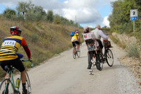 マネキンとともに新婚旅行を演じたガンディーニ氏（写真右）に、他の参加者が声援を送る。
    
    