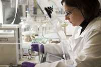 省燃費タイヤの素材として不可欠なシリカ。これを最初に用いたのはミシュランだった。同社はタイヤの転がり抵抗を、今後10年間でさらに10％低減することを目指している。