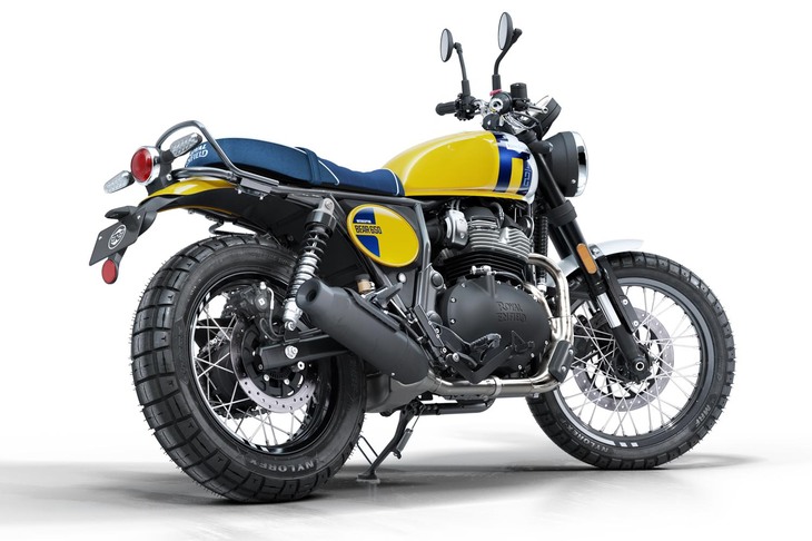 ベア650（ワイルド・ハニー）