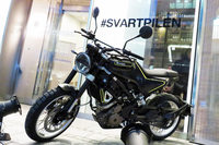 「スヴァルトピレン401」