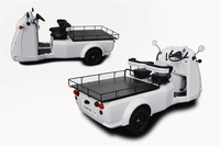 光岡、三輪EV「雷駆-T3」を発売の画像