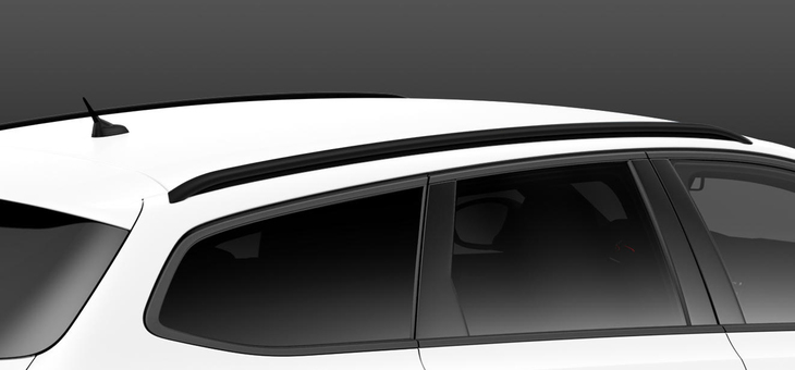 「308SW GTラインBlueHDi」のブラックルーフレール。