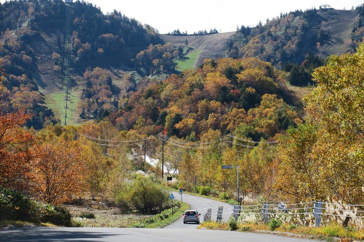 後ろ髪を引かれながら（記者の髪型は坊主だけど）志賀高原を去る。紅葉の季節の志賀高原、よかったな。また来よう。紅葉だけに。