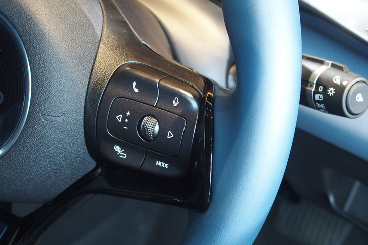 BYDドルフィン ロングレンジ（ステアリングスイッチ）