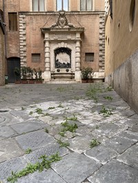 レストランがテーブルを広げていた袋小路にも雑草が。以上は2020年5月6日撮影。