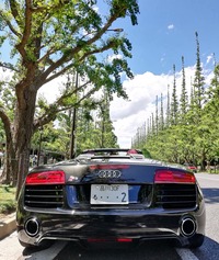 このおしりがたまりません……！ 元気でね。