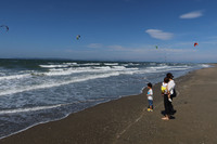 布引海岸（富津海水浴場）では色とりどり、形さまざまな貝殻に夢中。青空には、たくさんのモーターパラグライダーが舞っていた。