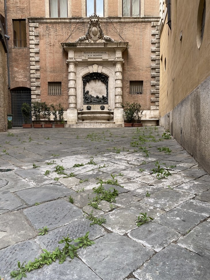 レストランがテーブルを広げていた袋小路にも雑草が。以上は2020年5月6日撮影。