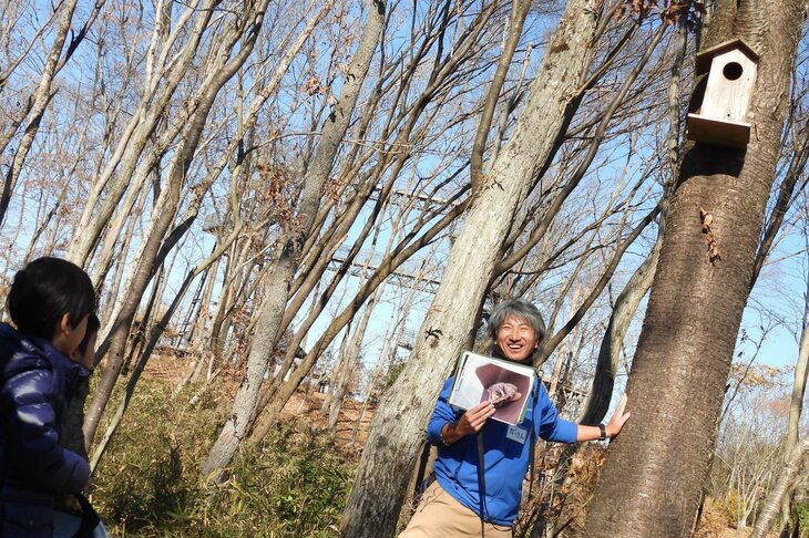 ムササビなどの小動物のために設置された巣箱。レースなどが開催されると、エキゾーストサウンドが気になって顔を出すこともあるのだとか。また、木の幹をさすると「ヘビか!?」と驚いて姿を見せることもあるというが……。残念ながら、この日は留守だった。