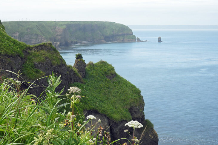 岬より北の岩礁を眺める。