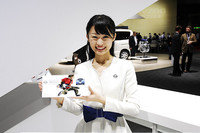 コンパニオン名鑑（日産／ルノー）