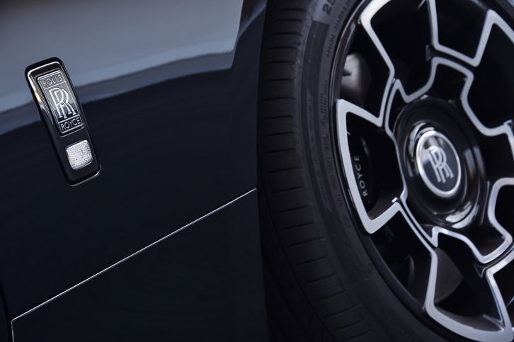 ボディー側面のロゴマークは、通常の配色を反転させた、「黒地にクロームのロゴ」になっている。