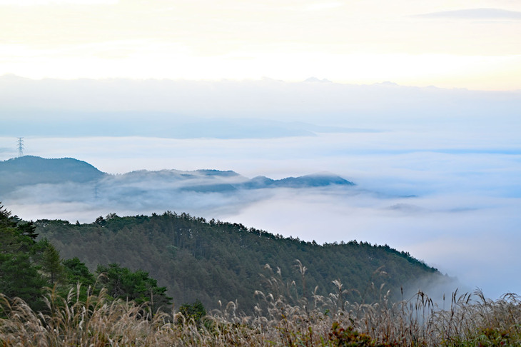 頂上から下を見ても美しい。ふもとに諏訪湖があるため、雲海が出現しやすいらしい。