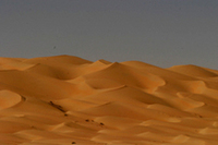 「UAEデザートチャレンジ」第2レグの画像