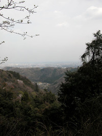東京の西、八王子市にある高尾山からのぞむ景色。