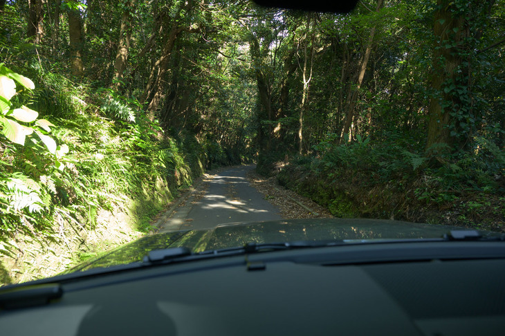 七島展望台からの帰路では、ナビがなぜか写真のような狭い道を案内。それでも、最小回転半径が5.3mの「ディフェンダー90」なら、緊張することなく走ることができた。