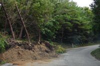 珠洲市では、方々でこうした光景を見かけた。ちなみに、こちらの山道はダートの未舗装路。こうした場所にも、記者は「バイパー」でガンガン突っ込んでいく。