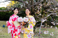 桜の開花も重なり、華やかな雰囲気のもとで開催された「シェル チャンピオンズクラブ」。