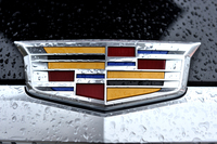 新しい「キャデラック・クレスト」。デザイン変更は2000年以来となる。従来のクレストにあった丸い飾りがなくなった。
    