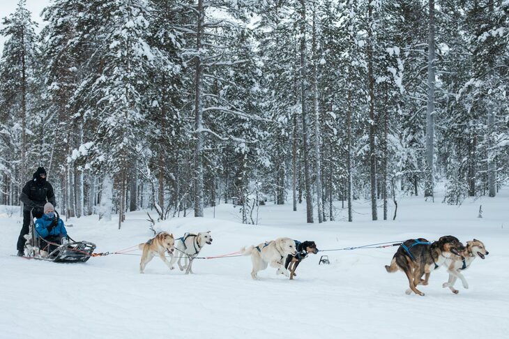 犬ぞり体験など、北極圏ならではのアクティビティーも用意されていた。