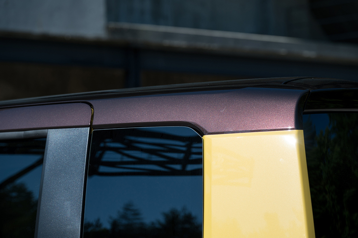 ツートンカラーの境界に寄ってみる。プリンのようなカラーコーディネートだ。