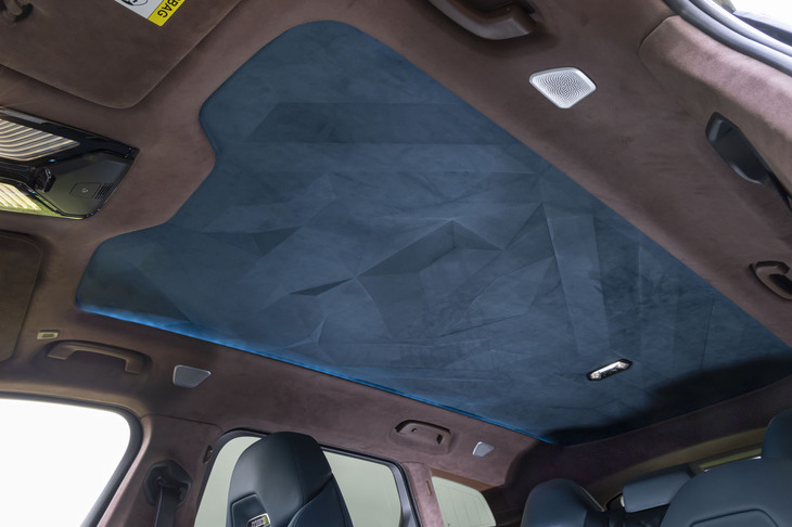 天井部分は色分けされているが、サンルーフは非装備。ここはLEDでライトアップし、怪しげな雰囲気をつくり出すスペースなのだ。