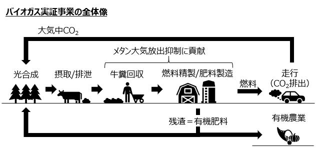 インドの国情に精通したスズキは、急速なEVの普及にはいささか懐疑的。EVの開発には取り組みつつも、同時に牛のフンを利用したバイオガス燃料の生成を研究するなど、多角的な取り組みを通して、カーボンニュートラルの道を模索しているのだ。ちなみに、牛10頭が1日に排泄するフンから、CNG車1台を1日動かせるだけの燃料が生成できるという。インドには3億頭もの牛がいるので、計算上はCNG車3000万台分（！）の燃料が、カーボンニュートラルでまかなえることになる。