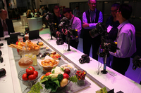 これはキヤノンのブース。実機撮影テスト用のオブジェが並ぶ。