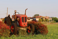 チェント町の中心部からレナッツォ地区に至るロータリーの中央には、1960年代のランボルギーニ製トラクターが飾られている。