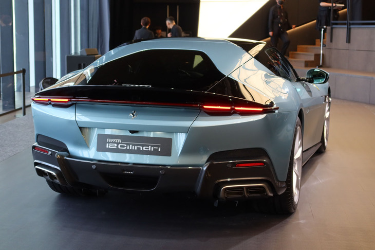 大きな山型（デルタ型）の輪郭が強烈な個性を放つリアビュー。