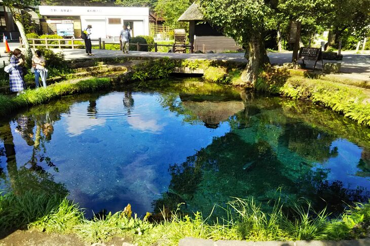 過日、朋友と遊びに行った忍野八海の図。ちなみに、忍野八海にある池のいくつかは後につくられた人工池で、要するに“八海”ではないのだとか。しかも、一番でかいやつとか目立つやつが八海じゃないというんだから困る。