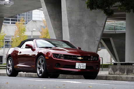 �V�{���[�E�J�}�� �R���o�[�`�u���iFR/6AT�j�c�c505��3000�~�V���ȁg�A�����J���E�I�[�v���h�u�V�{���[�E�J...