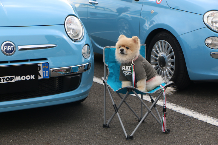 「フィアット500」のTシャツを着こんだキュートな参加者も……。このような愛犬連れの参加者も見受けられた。