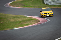 トルセンLSDや全輪操舵機構が備わる「メガーヌR.S.トロフィー」では、操舵感覚や操縦性に少しクセがあるが、そこが魅力でもある。