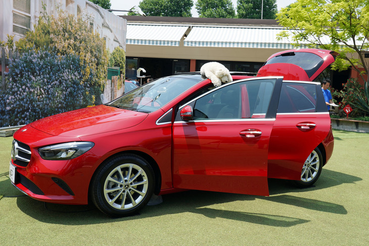 こちらの車両のルーフには、だらりとしたぬいぐるみの姿が。