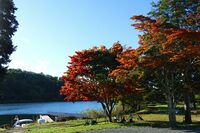 早朝の、あまり人のいない蓼科湖をパシャリ。紅葉した木々の赤と、緑の芝のコントラストがいい感じ。